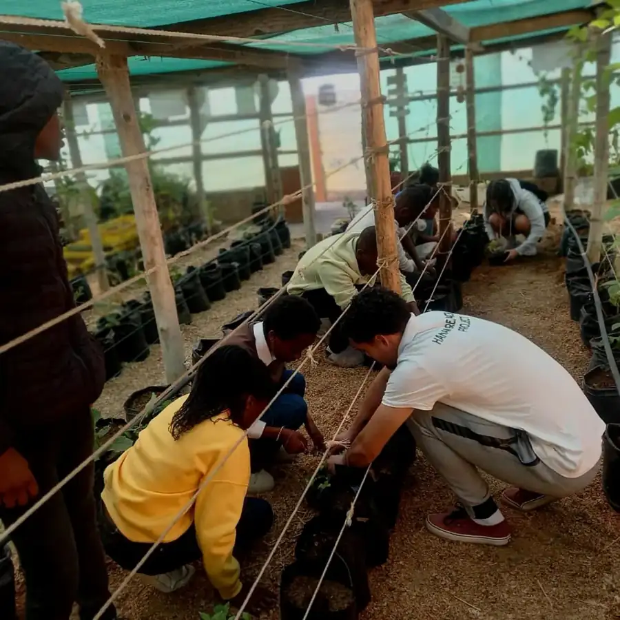 Learners working in a greenhouse